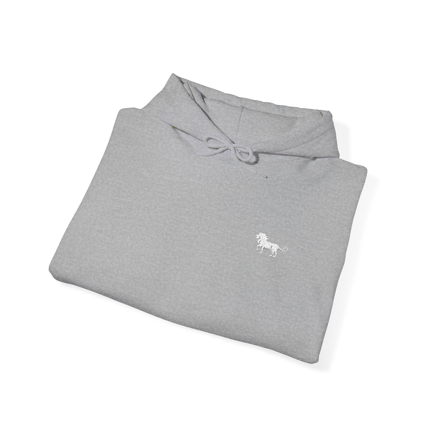 BASIC HOODIE