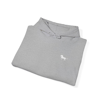 BASIC HOODIE